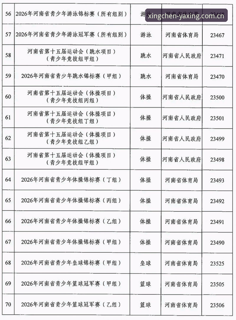 亚星CN首发定制版足球水位2026最新版本 亚星体育平台2026年CN首发定制版操作指南:从装包到参数调优的完整教程